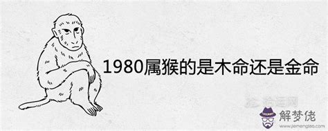 1980年是什麼猴